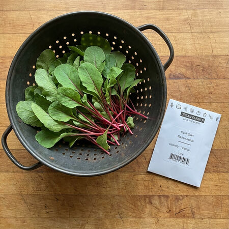 Fresh Start, (F1) Beet Seeds - Packet image number null